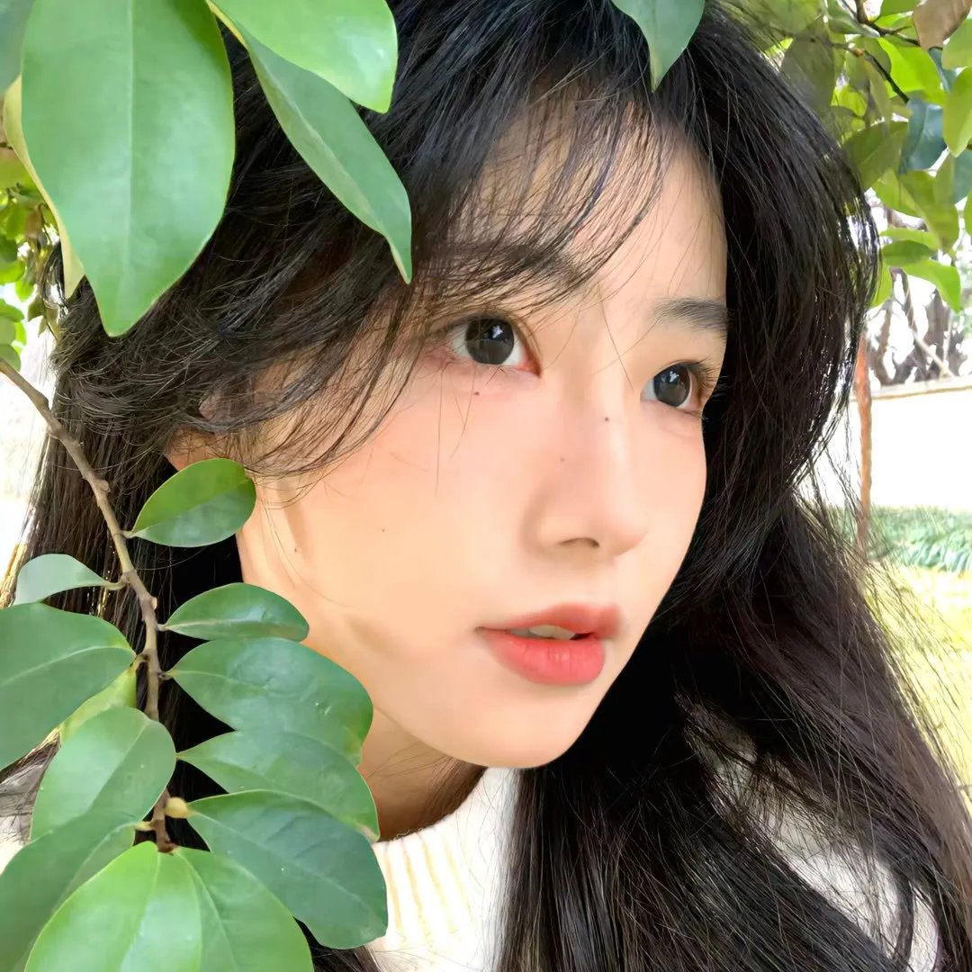 梦游人生