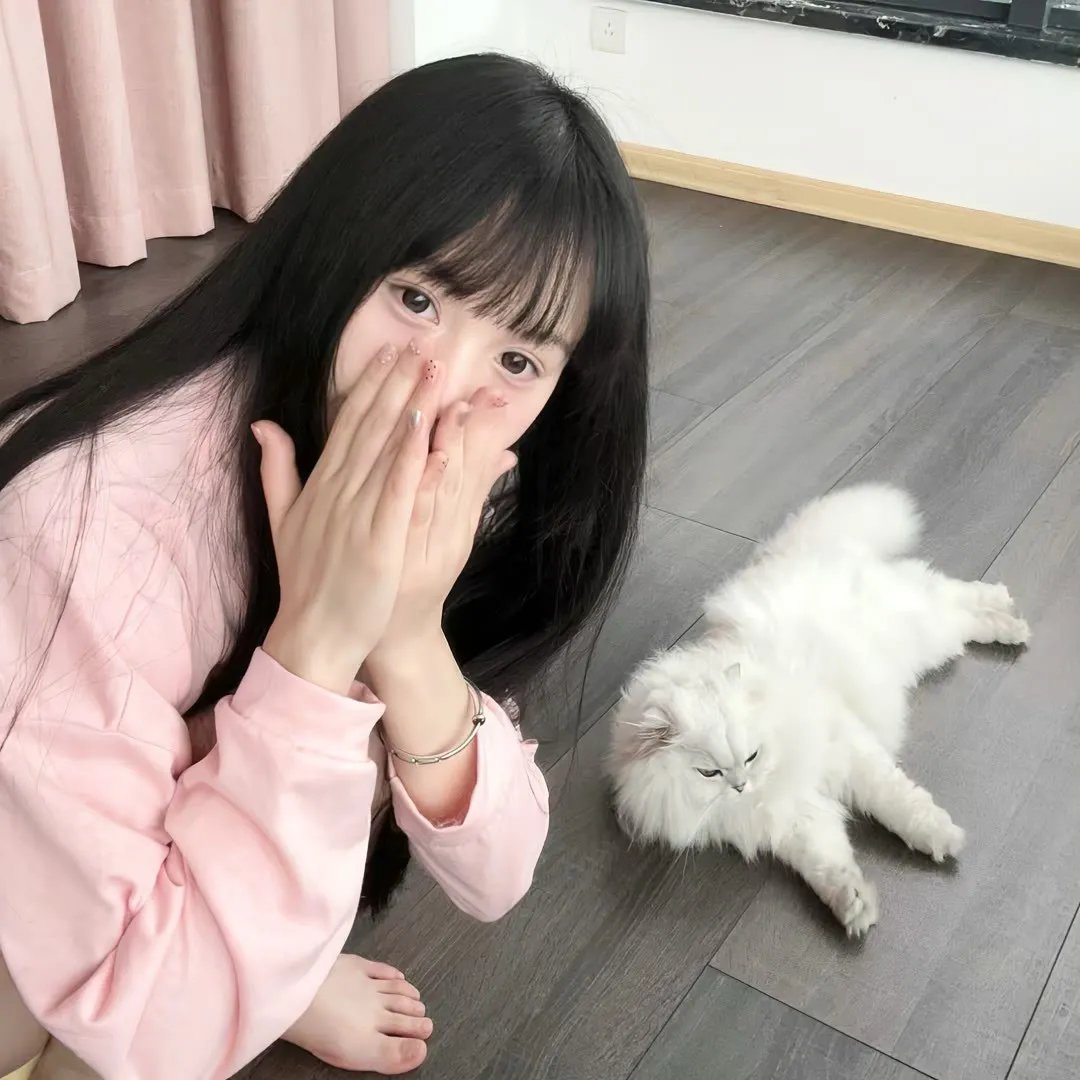 隐藏的面孔